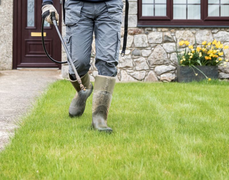 Products For Stone Repairs in use